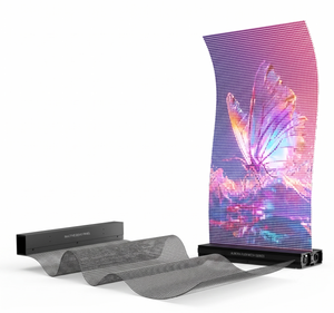 LED HOLO-GITTER